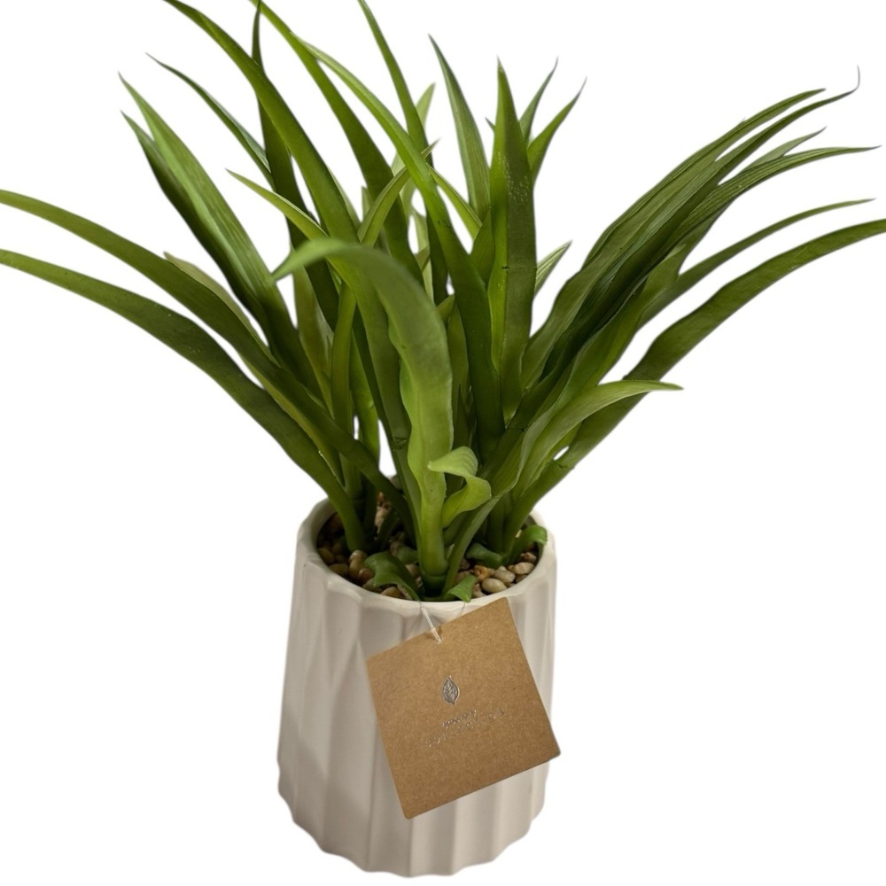 Faux Fake Green Spike Plant Decor White Minimalistic Ceramic Pot‎ WP66Q